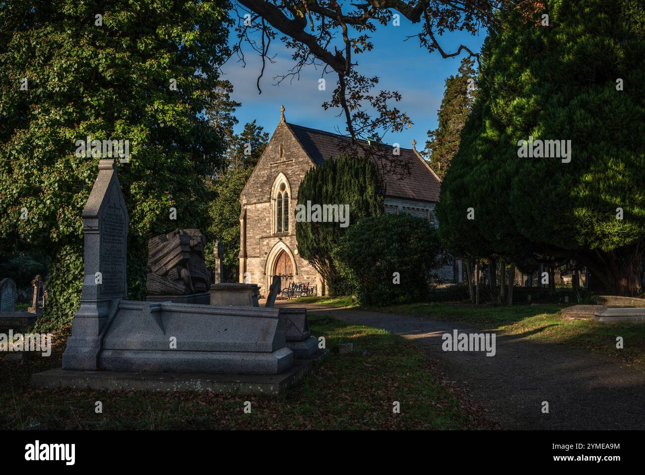 Schwaches Licht von der Herbstsonne erzeugt einen starken Kontrast von Licht und Schatten auf dem Old Cemetery auf dem Common, Southampton, Hampshire, England, Großbritannien Stockfoto