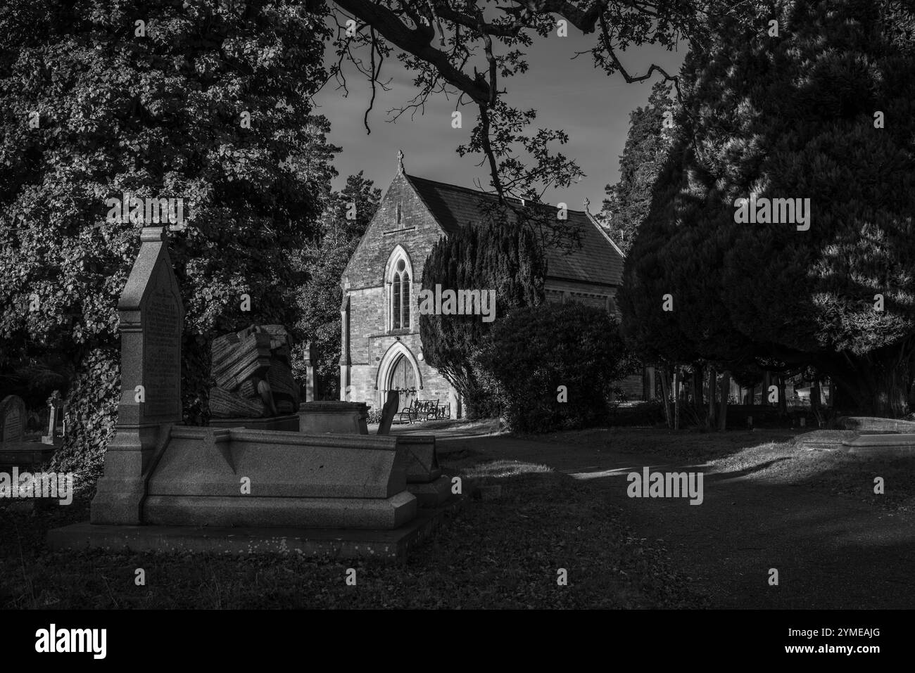 Schwaches Licht von der Herbstsonne erzeugt einen starken Kontrast von Licht und Schatten auf dem Old Cemetery auf dem Common, Southampton, Hampshire, England, Großbritannien Stockfoto