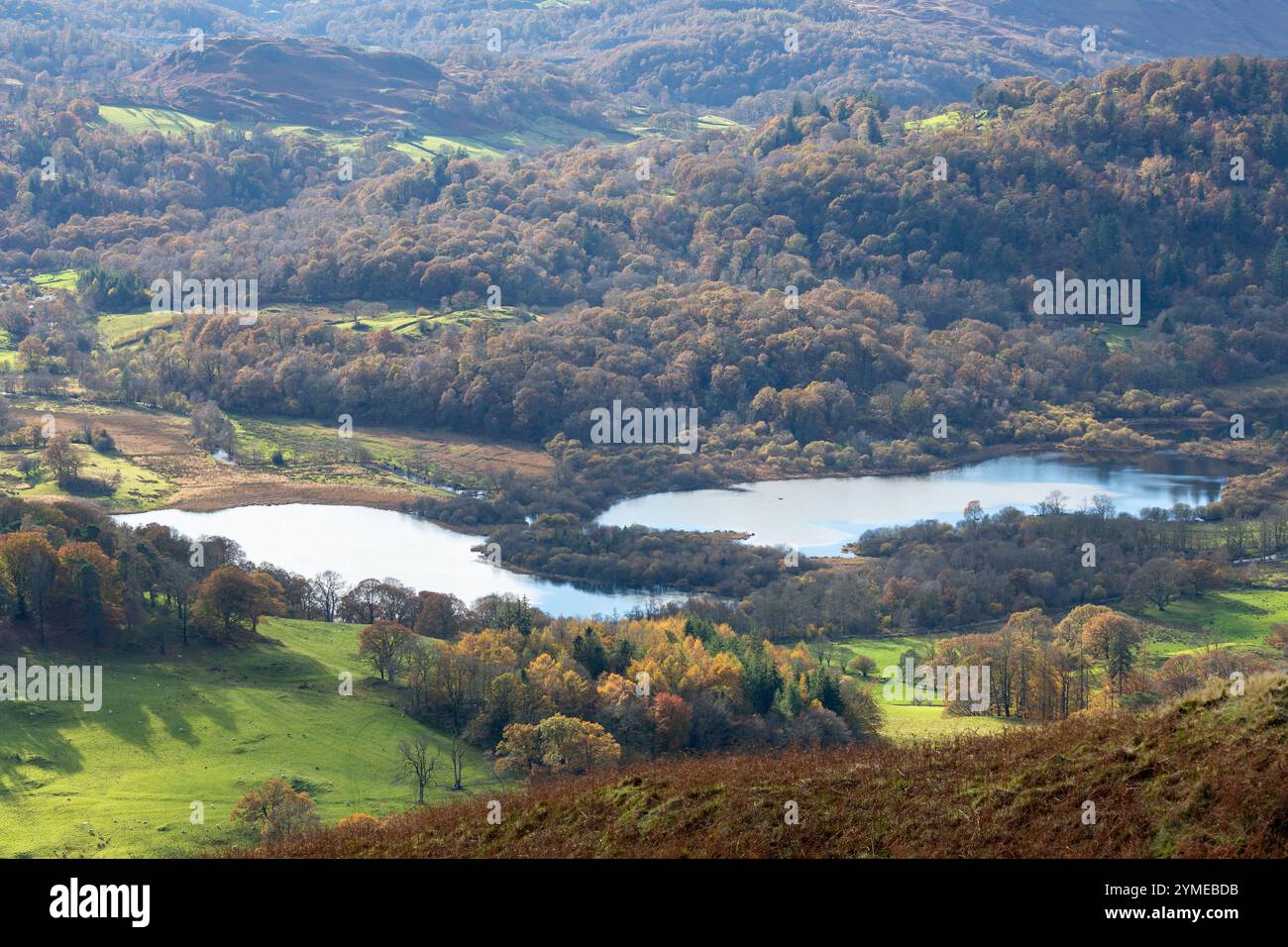 Hoch oben auf Loughrigg Fell mit Blick auf Elter Water, Lake District, England Stockfoto