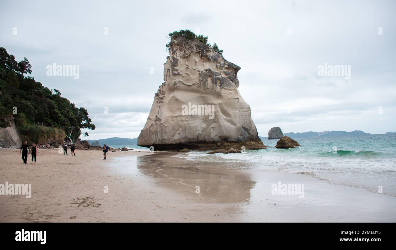 Landschaften rund um die Coromandel-Halbinsel und Tauranga, Nordinsel, Neuseeland. Stockfoto