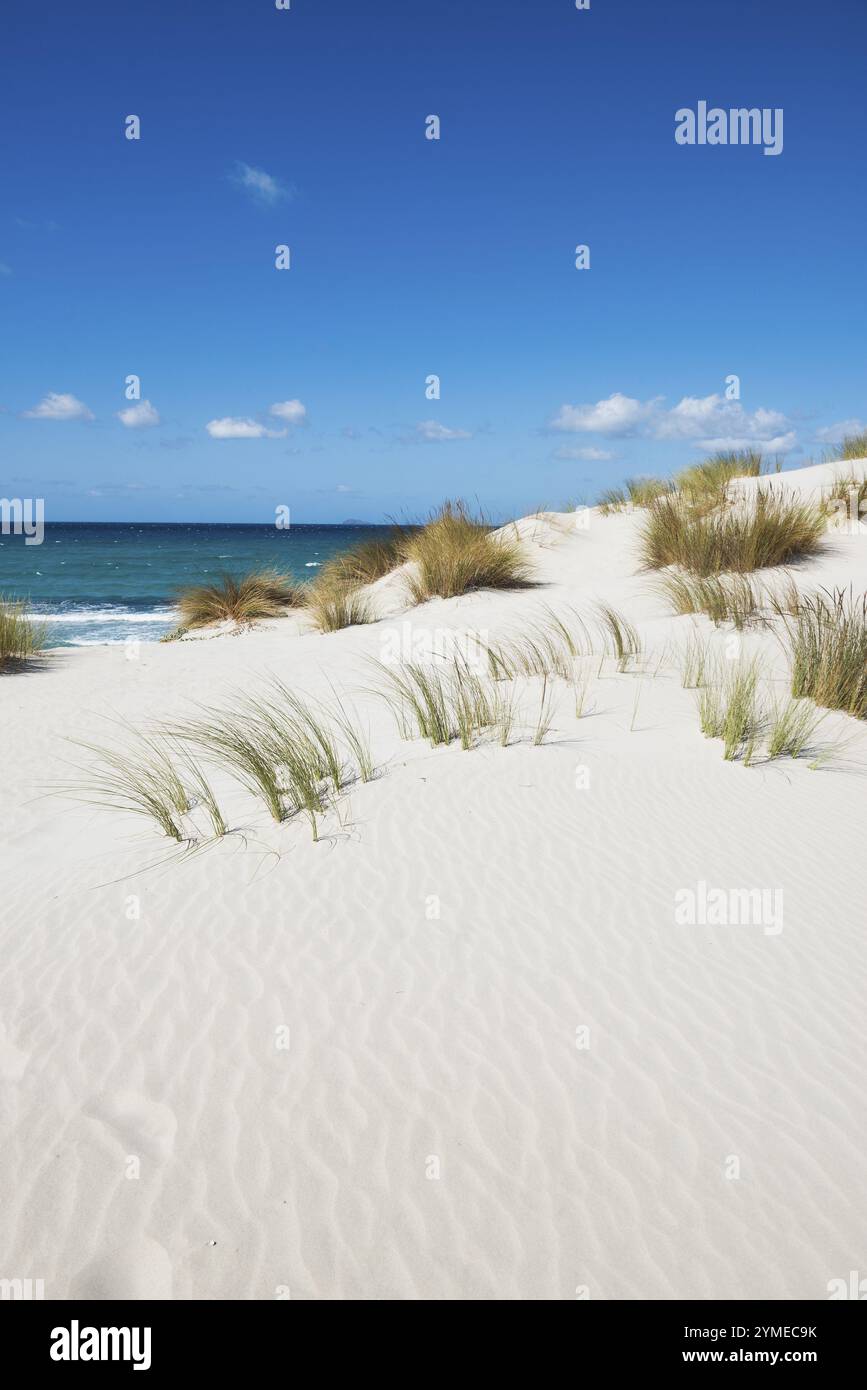 Einsamer weißer Sandstrand mit Dünen, Porto Pino, Sardinien, Südküste, Italien, Europa Stockfoto