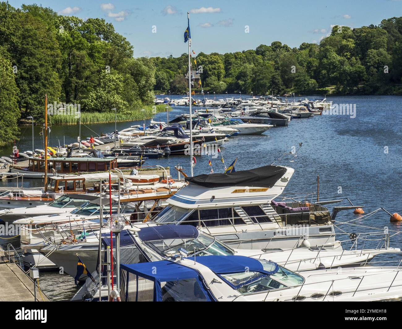 Viele Boote im Yachthafen in der Nähe einer grünen Uferzone, Archipel, stockholm, schweden Stockfoto