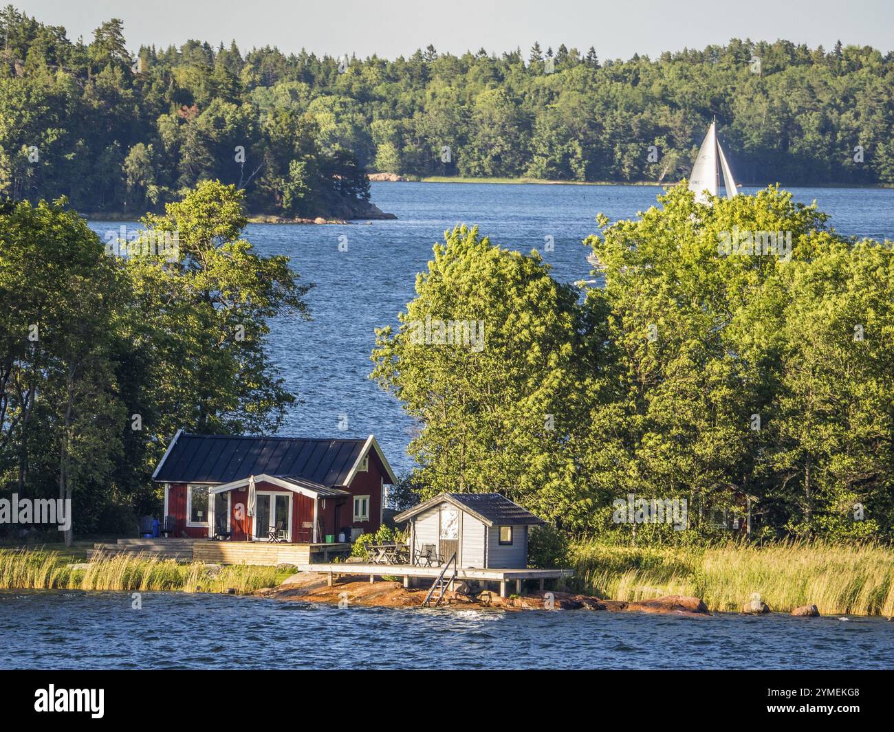 Idyllische Landschaft mit einer Hütte am Seeufer, umgeben von Bäumen und einem Segelboot im Hintergrund, Archipel, stockholm, schweden Stockfoto