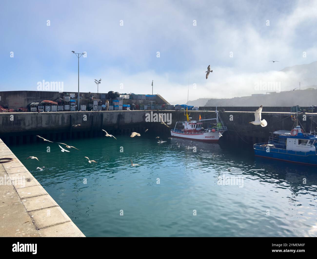 Möwen fliegen über Fischerboote im Hafen von Llanes, Asturien, Spanien - Smartphone-aufgenommenes Stockfoto