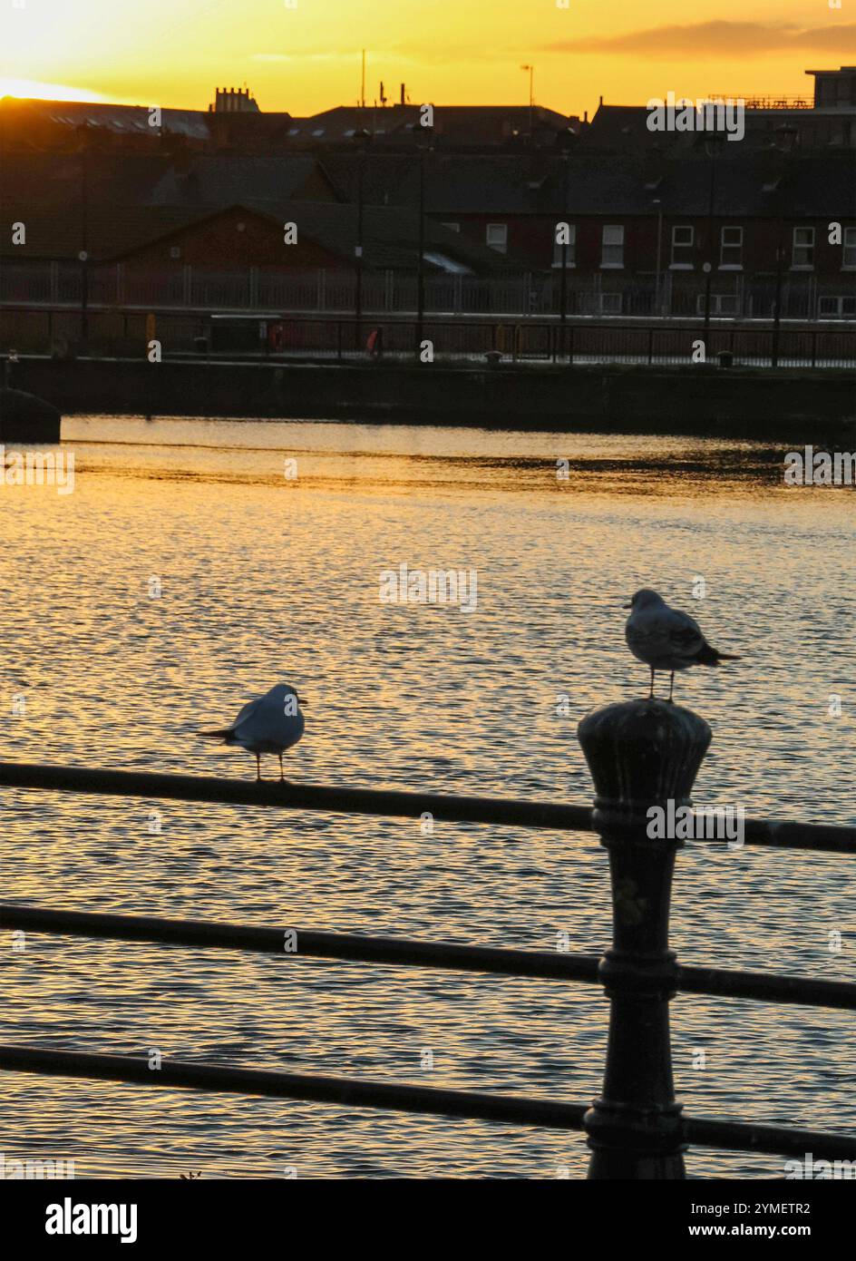 Belfast, Nordirland, Vereinigtes Königreich. November 2024. Wetter in Großbritannien – die Kälte geht weiter. Eine Schnee- und Eiswarnung wird heute von 15:00 Uhr bis morgen 10:00 Uhr (Freitag) angezeigt. Klarer Himmel und Sonnenuntergang über dem Fluss Lagan in Belfast. Quelle: CAZIMB/Alamy Live News. Stockfoto