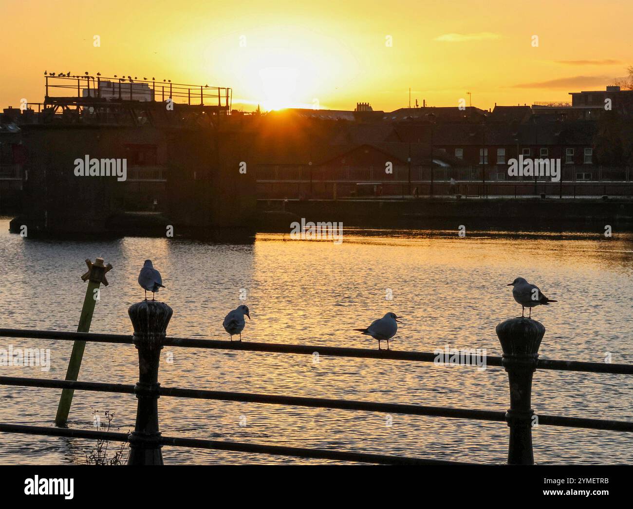 Belfast, Nordirland, Vereinigtes Königreich. November 2024. Wetter in Großbritannien – die Kälte geht weiter. Eine Schnee- und Eiswarnung wird heute von 15:00 Uhr bis morgen 10:00 Uhr (Freitag) angezeigt. Klarer Himmel und Sonnenuntergang über dem Fluss Lagan in Belfast. Quelle: CAZIMB/Alamy Live News. Stockfoto