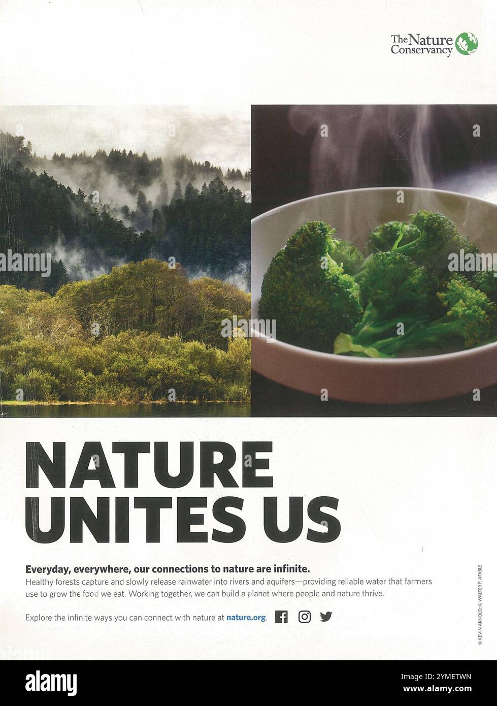 2018 Nature.org Website für Naturschutz und Werbespot für Organisationen Stockfoto