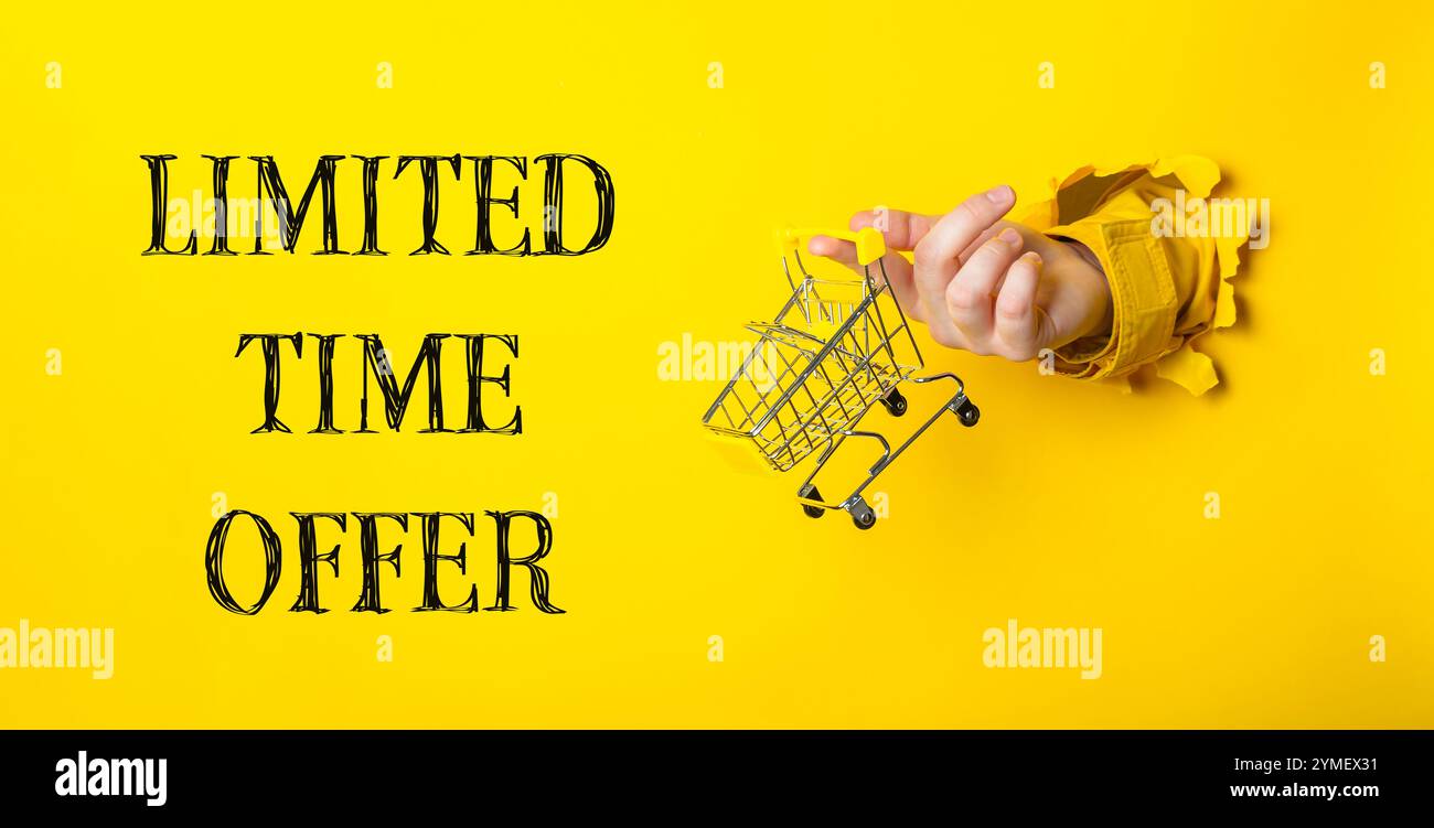 Hand hält einen Warenkorb mit den Worten „zeitlich begrenztes Angebot“ darunter. Das Bild hat eine verspielte und lustige Stimmung, da es eine kreative Art ist, zu adve zu werden Stockfoto