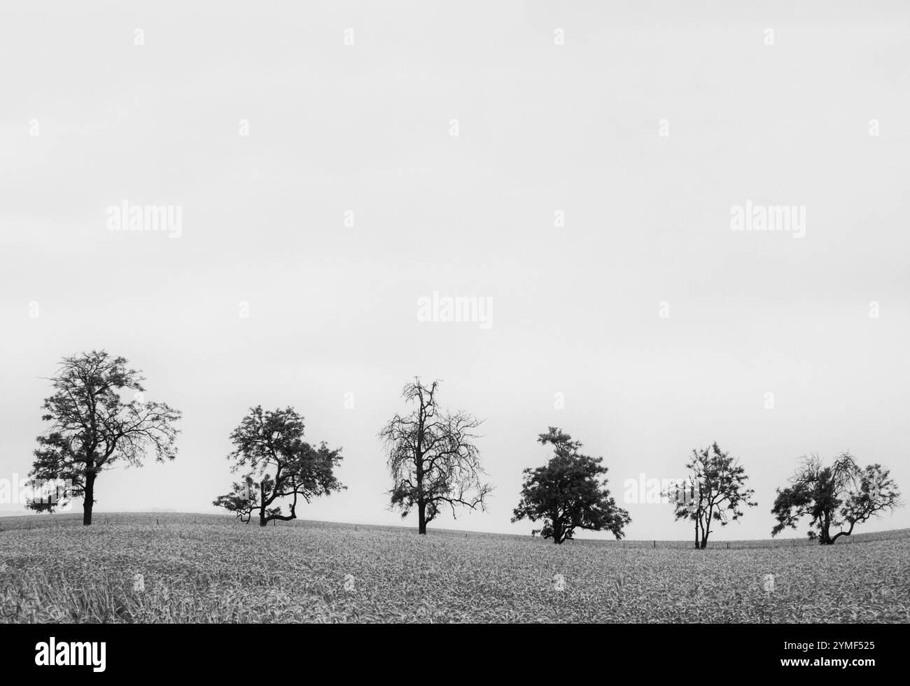 Minimalistisches Bild einer wunderschönen Landschaft Stockfoto