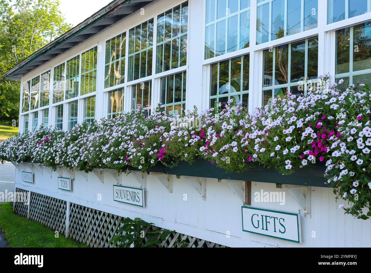 Verschiedene Geschäfte umkreisen die Innenstadt hier am Lake Sunapee. Hier sehen Sie die Rückseite des Wild Goose Country Store direkt am Wasser. Befindet sich in Cent Stockfoto
