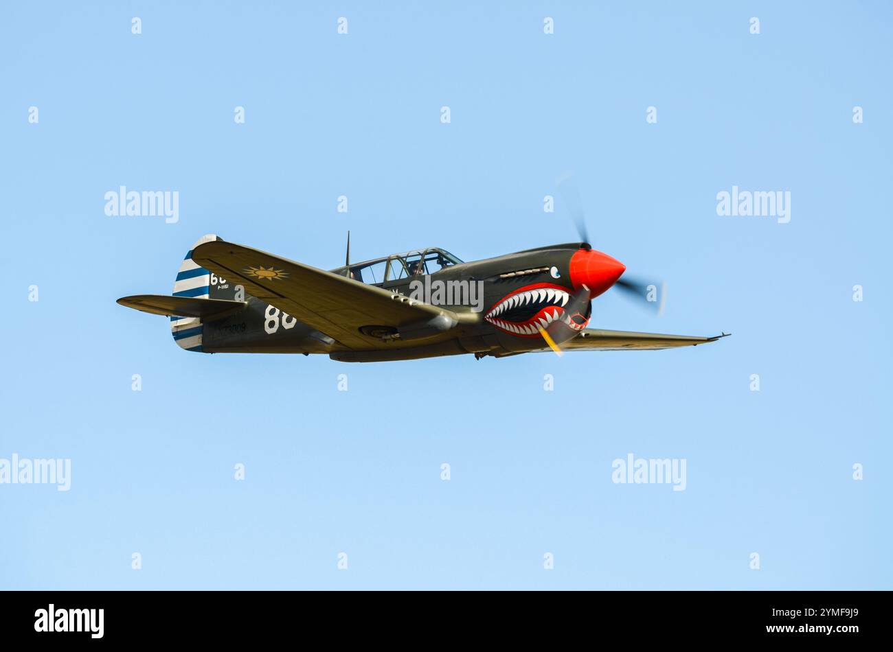 Curtiss P-40 Warhawk 2. Weltkrieg Kampfflugzeug mit Haifischmündung, auf dem Hood Aerodrome, Masterton, Neuseeland. Flügel über Wairarapa Airshow Stockfoto