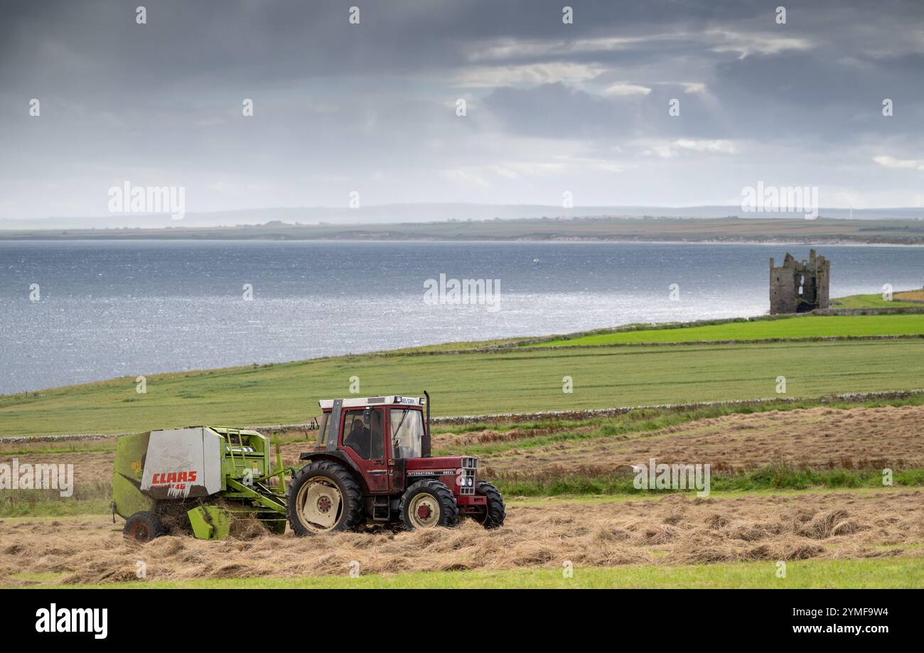 Landwirt ballt runde Heuballen mit einem alten internationalen Traktor und Claas Ballenpresse mit Blick auf Sinclair Bay in der Nähe von Keiss Castle im schottischen Highl Stockfoto