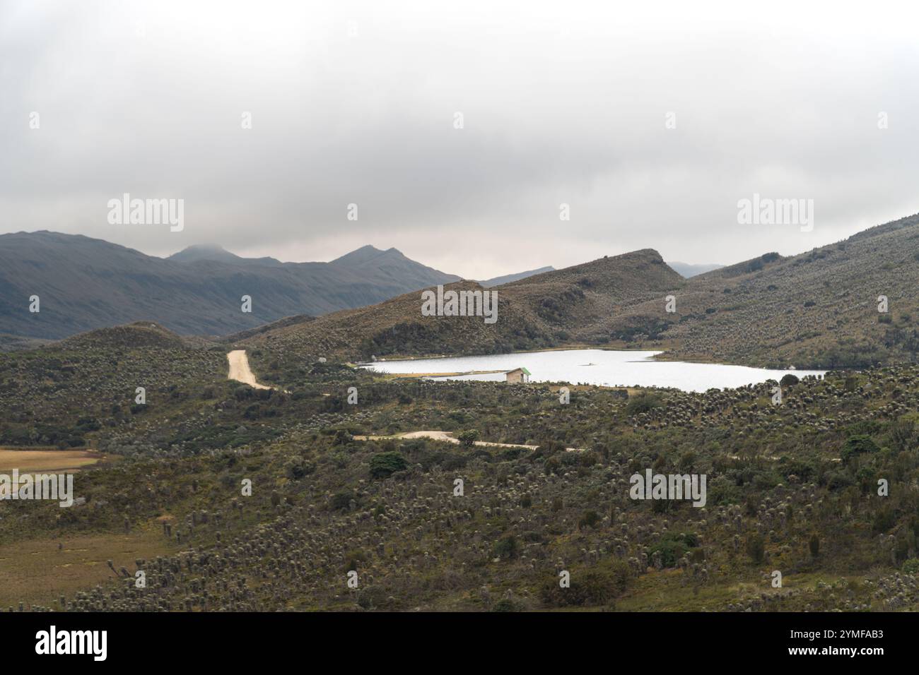 Kolumbianische Berglandschaft, besser bekannt als páramo, voller Frailejones (Espeletia), einer Lagune und einer Straße, um mehr Speleothems und Natur zu sehen. Páram Stockfoto