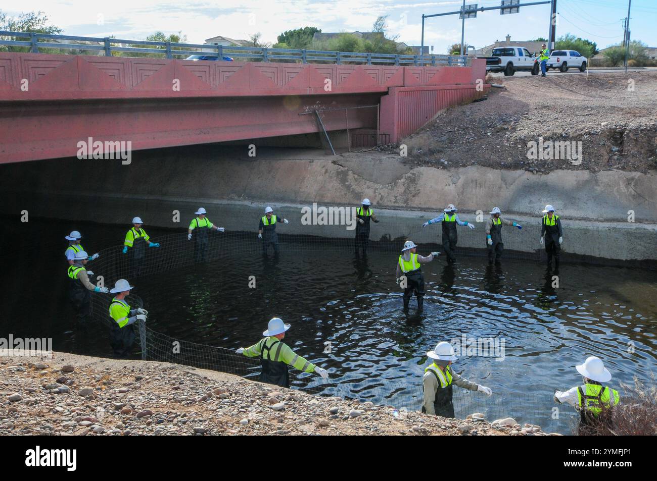 Mesa, Arizona, USA. November 2024. Der Weiße amurfisch, der für die Kontrolle der aquatischen Vegetation wichtig ist, wird während der Wartung des Kanalsystems des Salt River Project in Central Arizona verlegt, das 2,5 Millionen Einwohner des Gebiets Phoenix Wasser für die landwirtschaftliche, industrielle und kommunale Nutzung liefert. Die Besatzungen entwässerten Abschnitte des 131 km langen Kanalnetzes im Rahmen der jährlichen Wartung, die Reparaturen und die Beseitigung von Schlamm umfasst. Die weißen amurfische reduzieren den Bedarf an chemischen Behandlungen, indem sie das Pflanzenwachstum in den Kanälen auf natürliche Weise kontrollieren. (Kreditbild: © Eduardo Barraza/ZUMA Press Wire) E Stockfoto