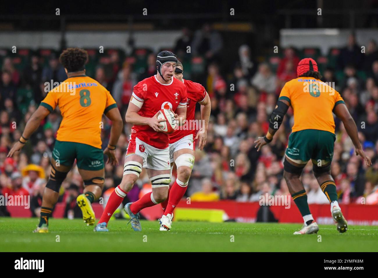 Wales gegen Australien Autumn Nations Series Principality Stadium, Cardiff 17/11/2024 Stockfoto