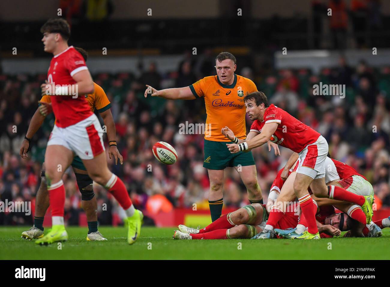 Wales gegen Australien Autumn Nations Series Principality Stadium, Cardiff 17/11/2024 Stockfoto