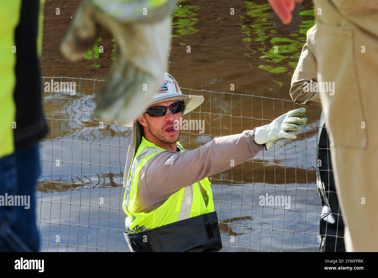 Mesa, Arizona, USA. November 2024. Der Weiße amurfisch, der für die Kontrolle der aquatischen Vegetation wichtig ist, wird während der Wartung des Kanalsystems des Salt River Project in Central Arizona verlegt, das 2,5 Millionen Einwohner des Gebiets Phoenix Wasser für die landwirtschaftliche, industrielle und kommunale Nutzung liefert. Die Besatzungen entwässerten Abschnitte des 131 km langen Kanalnetzes im Rahmen der jährlichen Wartung, die Reparaturen und die Beseitigung von Schlamm umfasst. Die weißen amurfische reduzieren den Bedarf an chemischen Behandlungen, indem sie das Pflanzenwachstum in den Kanälen auf natürliche Weise kontrollieren. (Kreditbild: © Eduardo Barraza/ZUMA Press Wire) E Stockfoto