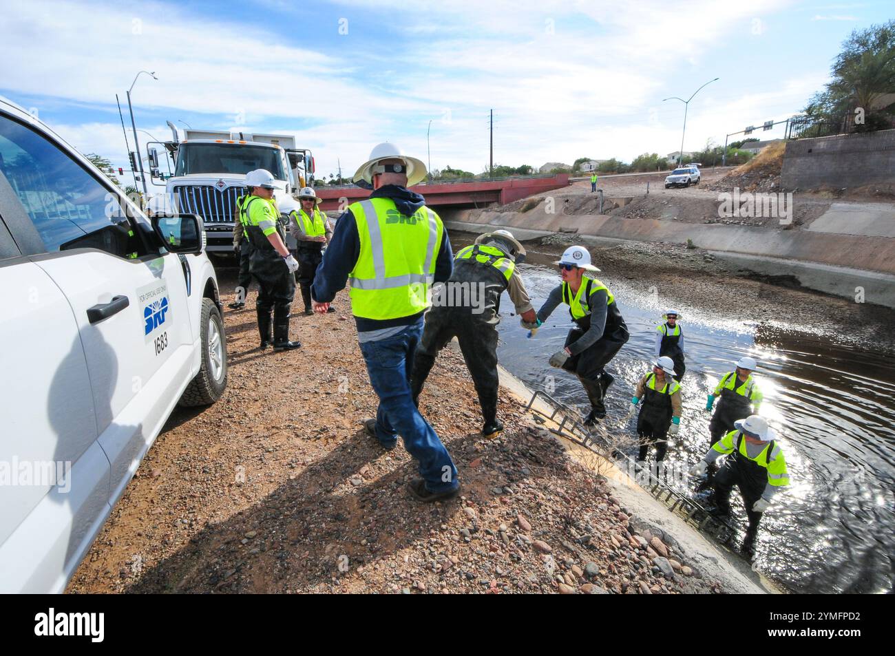 Mesa, Arizona, USA. November 2024. Der Weiße amurfisch, der für die Kontrolle der aquatischen Vegetation wichtig ist, wird während der Wartung des Kanalsystems des Salt River Project in Central Arizona verlegt, das 2,5 Millionen Einwohner des Gebiets Phoenix Wasser für die landwirtschaftliche, industrielle und kommunale Nutzung liefert. Die Besatzungen entwässerten Abschnitte des 131 km langen Kanalnetzes im Rahmen der jährlichen Wartung, die Reparaturen und die Beseitigung von Schlamm umfasst. Die weißen amurfische reduzieren den Bedarf an chemischen Behandlungen, indem sie das Pflanzenwachstum in den Kanälen auf natürliche Weise kontrollieren. (Kreditbild: © Eduardo Barraza/ZUMA Press Wire) E Stockfoto