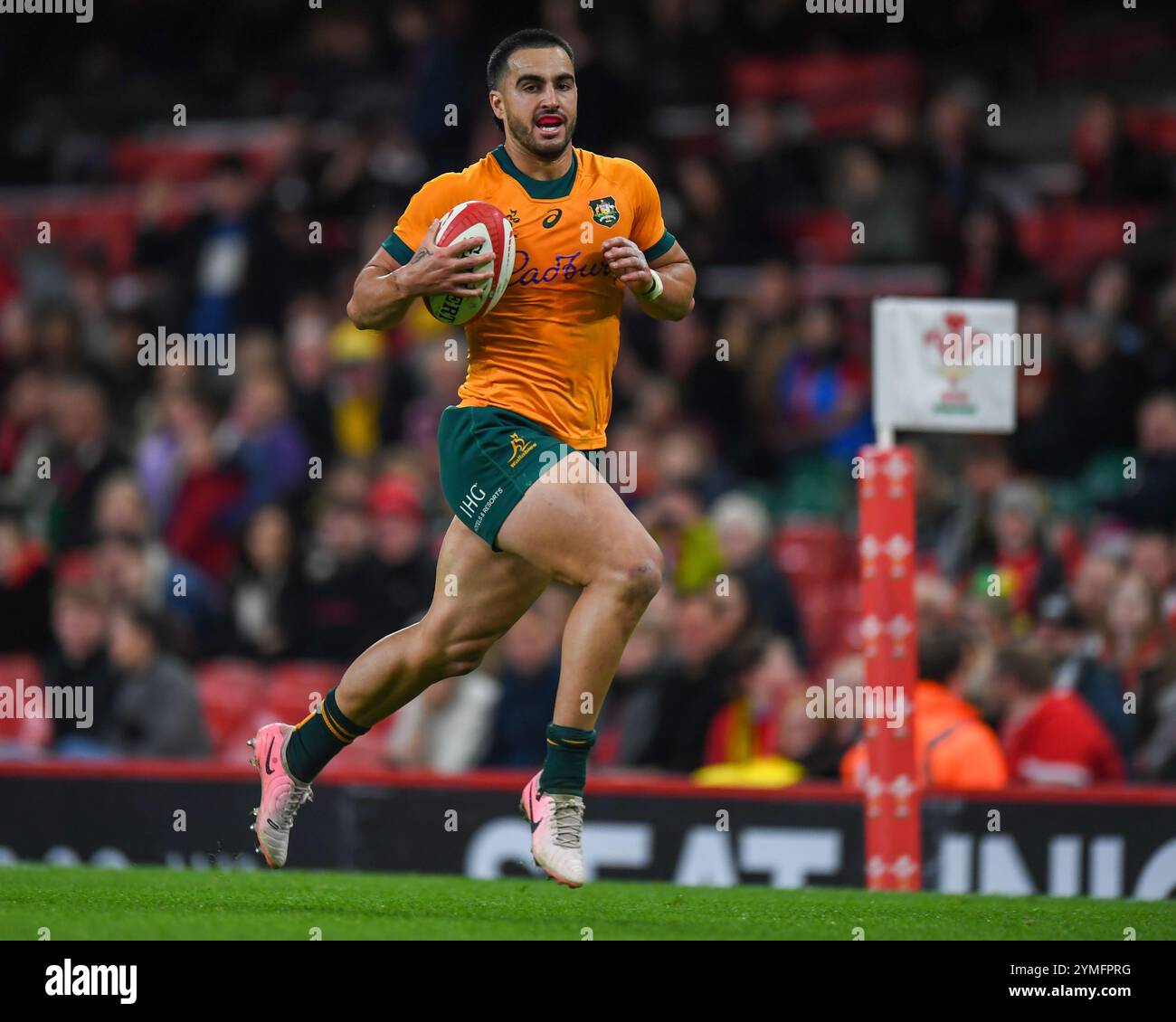 Wales gegen Australien Autumn Nations Series Principality Stadium, Cardiff 17/11/2024 Stockfoto