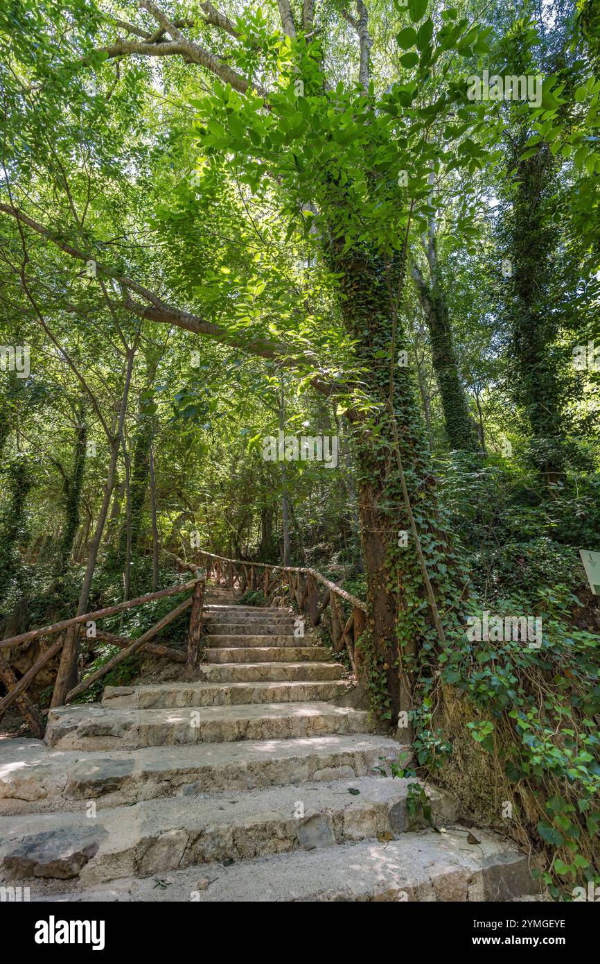 Nuevalos, Aragon, Spanien - 24. Juli 2024 : Steintreppe im Wald des Naturparks Monasterio de Piedra. Befindet sich in der Provinz Saragossa Stockfoto