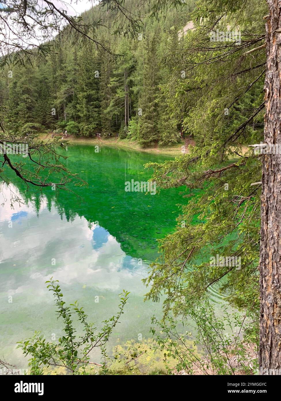 Ein ruhiger See, umgeben von üppig grünen Wäldern, der den klaren Himmel darüber reflektiert. Perfekt für Naturliebhaber, die Ruhe und Gelassenheit suchen. Ideal für Conce Stockfoto