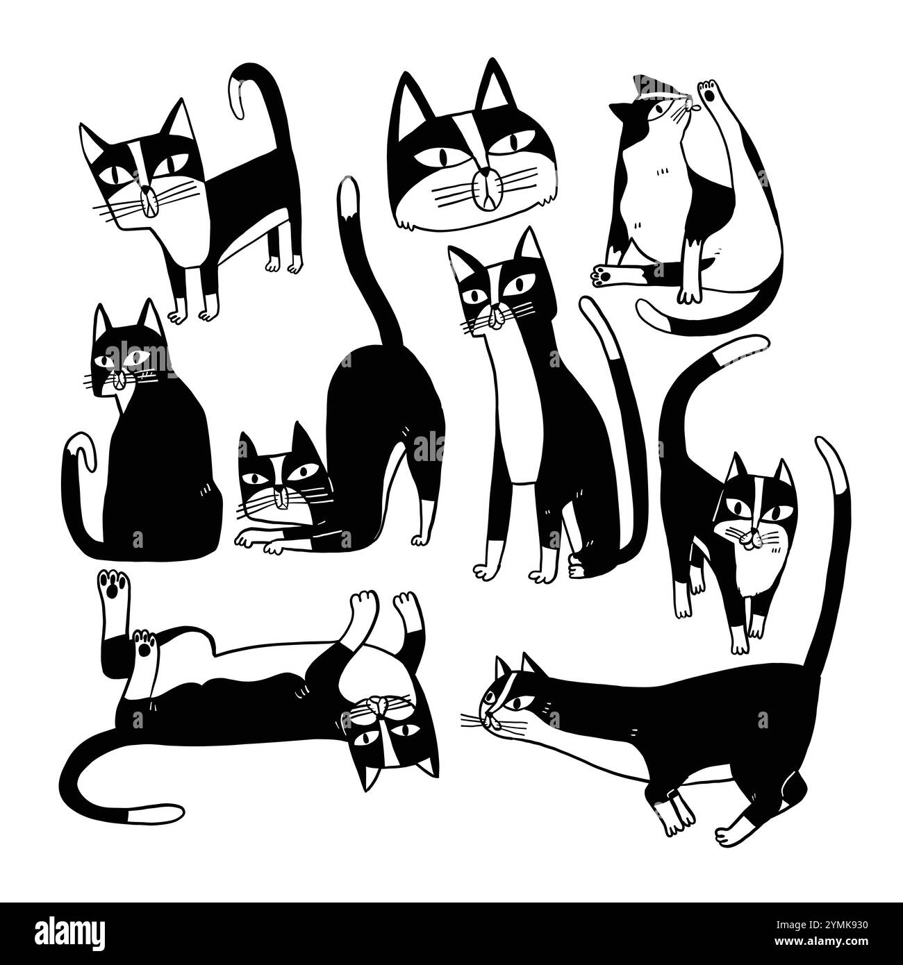 Süße und lustige Katzen Kritzelvektor-Set. Zeichentrickkatzen- oder Katzenfiguren zeichnen von Hand Schwarz-weiß in verschiedenen Posen. Set reinrassiger Heimtiere isol Stock Vektor