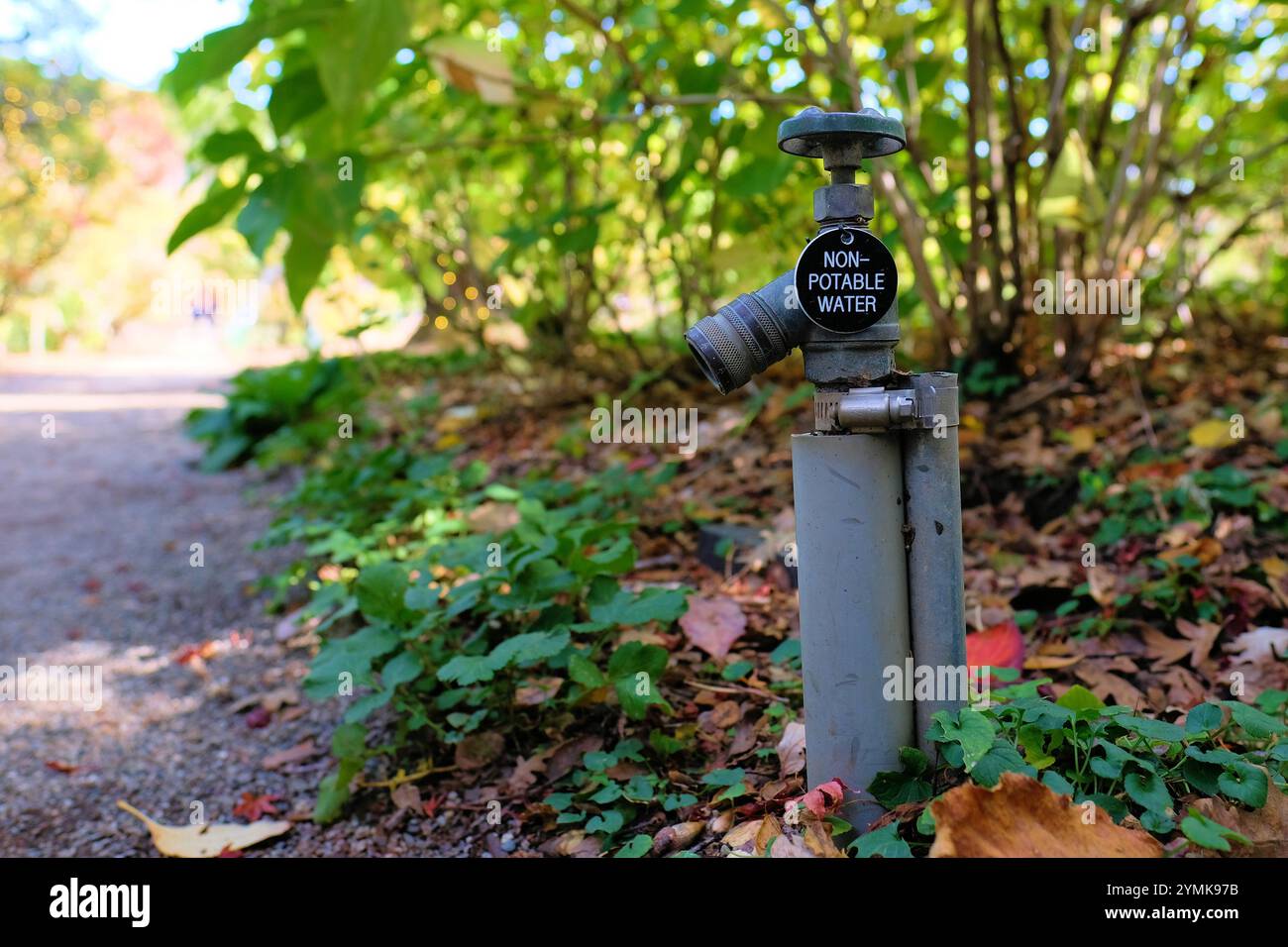 Kennzeichnung „nicht trinkbares Wasser“ auf einem Hahn, der Wasser abgibt, das nicht zum Trinken bestimmt ist; aufbereitetes und wiederverwertetes Wasser, das für den menschlichen Gebrauch nicht sicher ist. Stockfoto