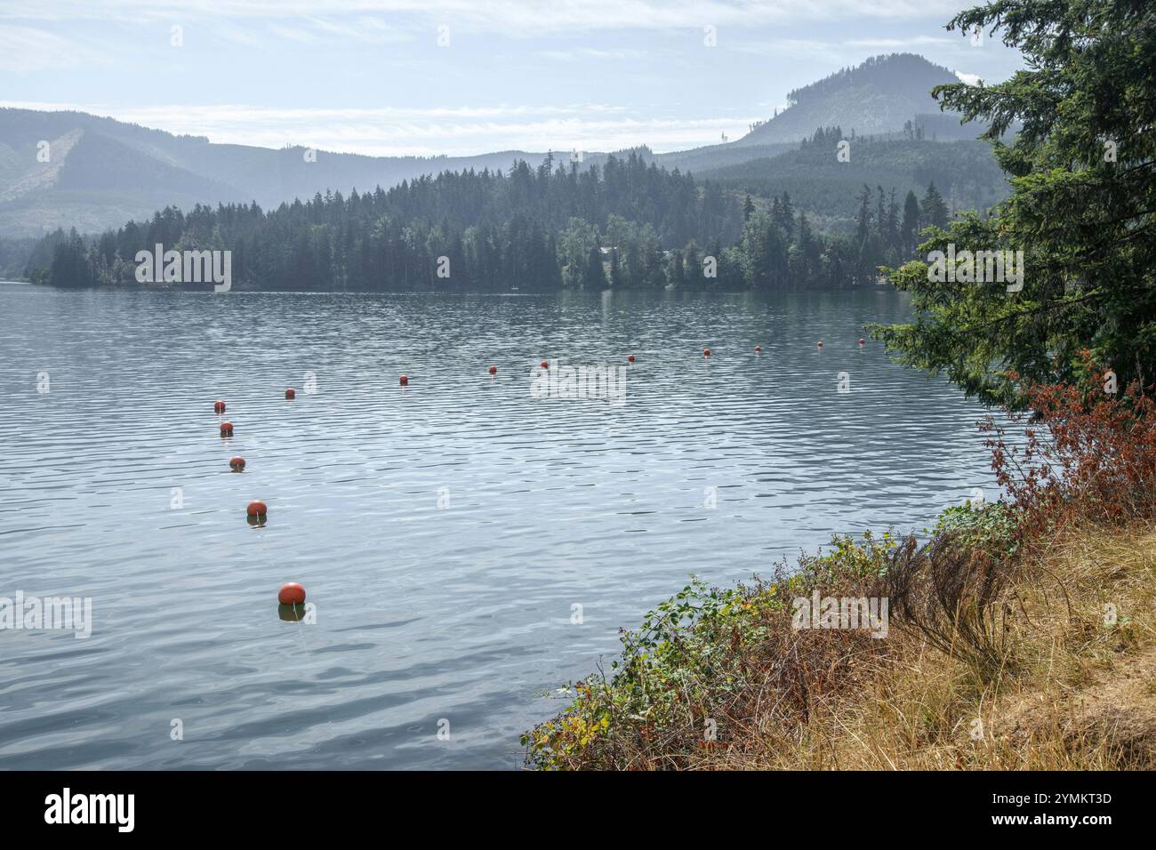 USA, Oregon, Lane County, Dexter State Recreation Site Stockfoto