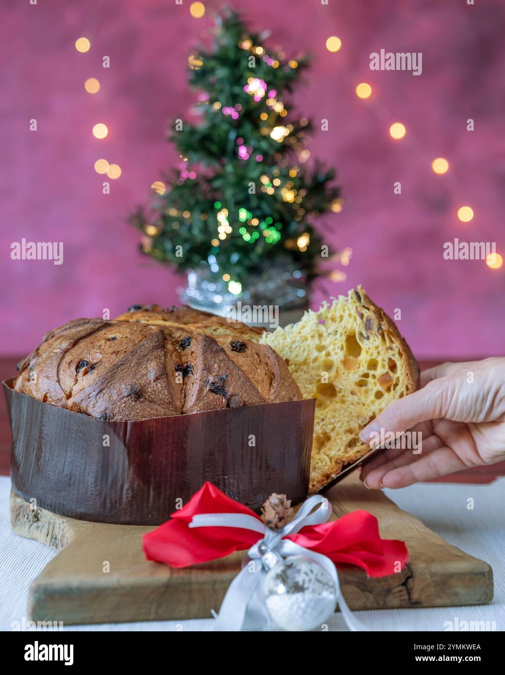 Eine weibliche Hand greift ein Stück Panettone, eine typische italienische Weihnachtskuche, mit dem Weihnachtsbaum im Hintergrund Stockfoto