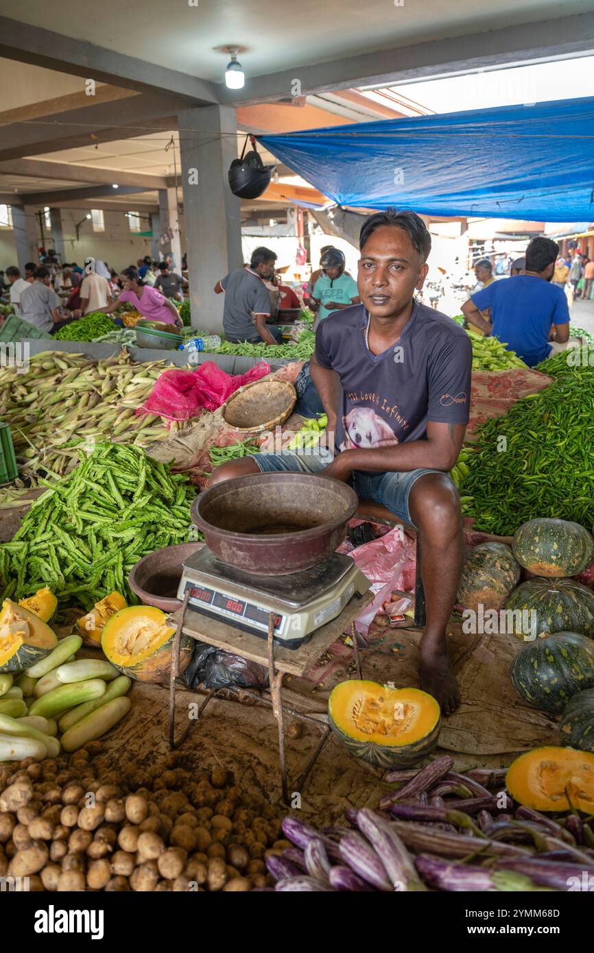 Sri Lanka, Südprovinz, Süd, Süd, Süd, Matara, Ville, Staadt, Stadt, marché, Markt, Markt, légume, légumes, Gemüse, Gemüse, Vendeur Stockfoto