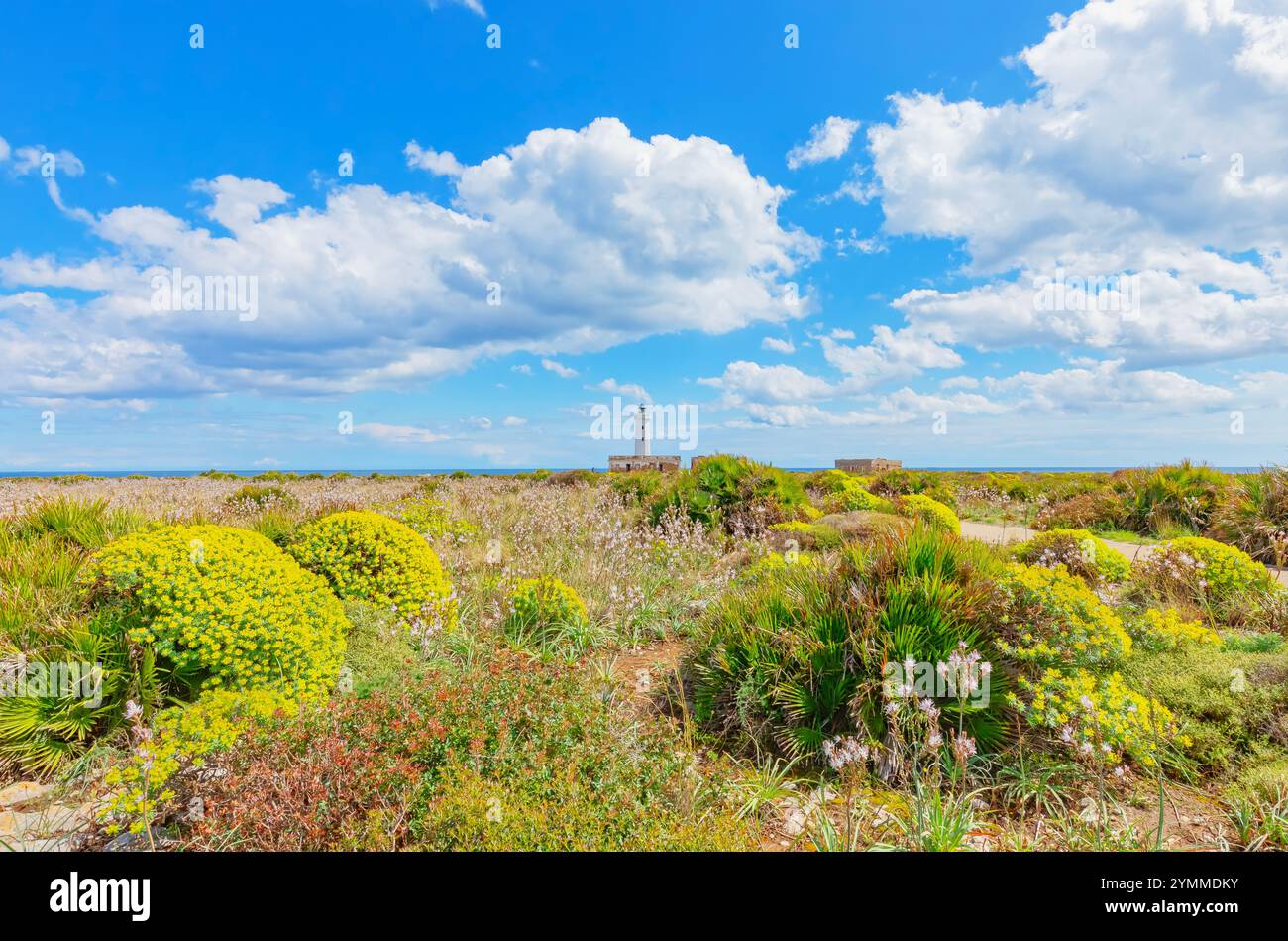 Leuchtturm, Syrakus, Sizilien, Italien Stockfoto