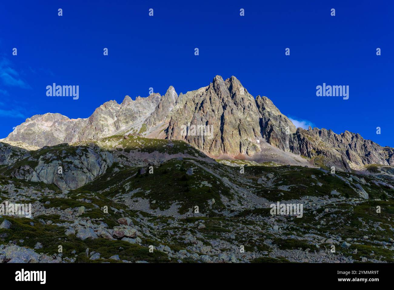 Tour du Mont Blanc wunderschöne Landschaften in den Alpen an einem sonnigen Sommertag. Grünes Gras auf der Almwiese umgeben von hohen Berggipfeln Stockfoto Tour du Mont Blanc wunderschöne Landschaften in den Alpen an einem sonnigen Sommertag. Grünes Gras auf der Almwiese umgeben von hohen Berggipfeln Stockfoto