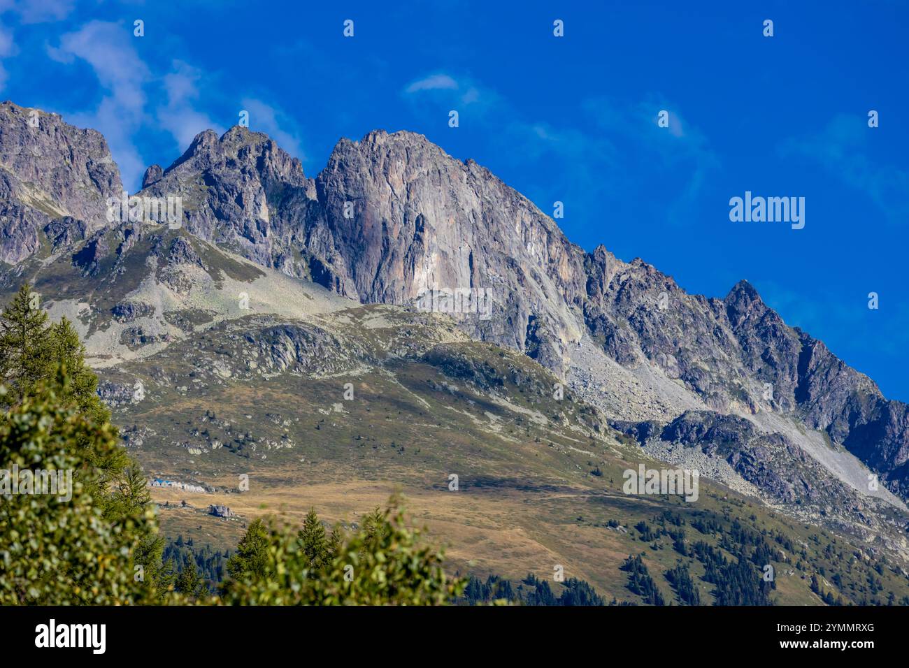 Tour du Mont Blanc wunderschöne Landschaften in den Alpen an einem sonnigen Sommertag. Grünes Gras auf der Almwiese umgeben von hohen Berggipfeln Stockfoto Tour du Mont Blanc wunderschöne Landschaften in den Alpen an einem sonnigen Sommertag. Grünes Gras auf der Almwiese umgeben von hohen Berggipfeln Stockfoto