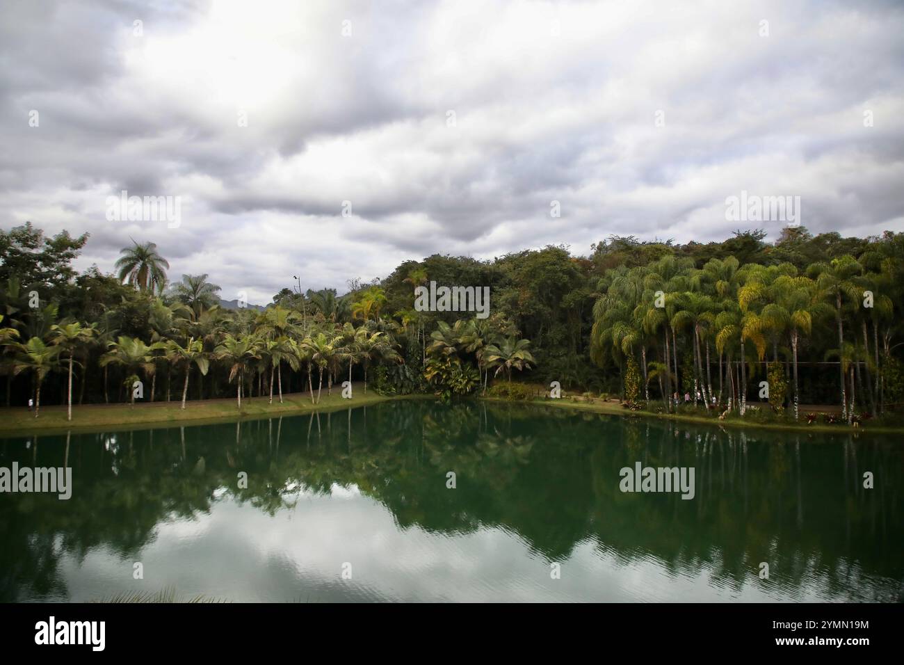 20. Juli 2023, Brumadinho, Minas Gerais, Brasilien: Der botanische Garten am Inhotim-Institut in Brasilien ist abgebildet. Das Inhotim Institute ist eine private brasilianische Einrichtung, die 2004 von Bernardo Paz, einem im Bergbau tätigen Unternehmer, gegründet wurde. Das 1.000 Hektar große Gelände ist sowohl ein bedeutendes Museum für zeitgenössische Kunst als auch ein botanischer Garten. 23 Pavillons und Galerien sind für die Öffentlichkeit zugänglich und zeigen die Werke von etwa hundert zeitgenössischen Künstlern aus über dreißig Ländern. (Credit Image: © Apolline Guillerot-Malick/SOPA Images via ZUMA Press Wire) NUR REDAKTIONELLE VERWENDUNG! Nicht für kommerzielle USAG Stockfoto