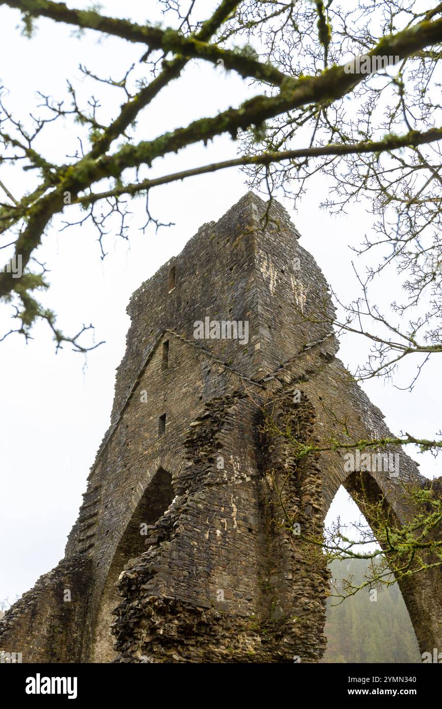 Alte Klosterruine Talley Abbey in Talley, Wales, Großbritannien. Hochwertige Fotos Stockfoto