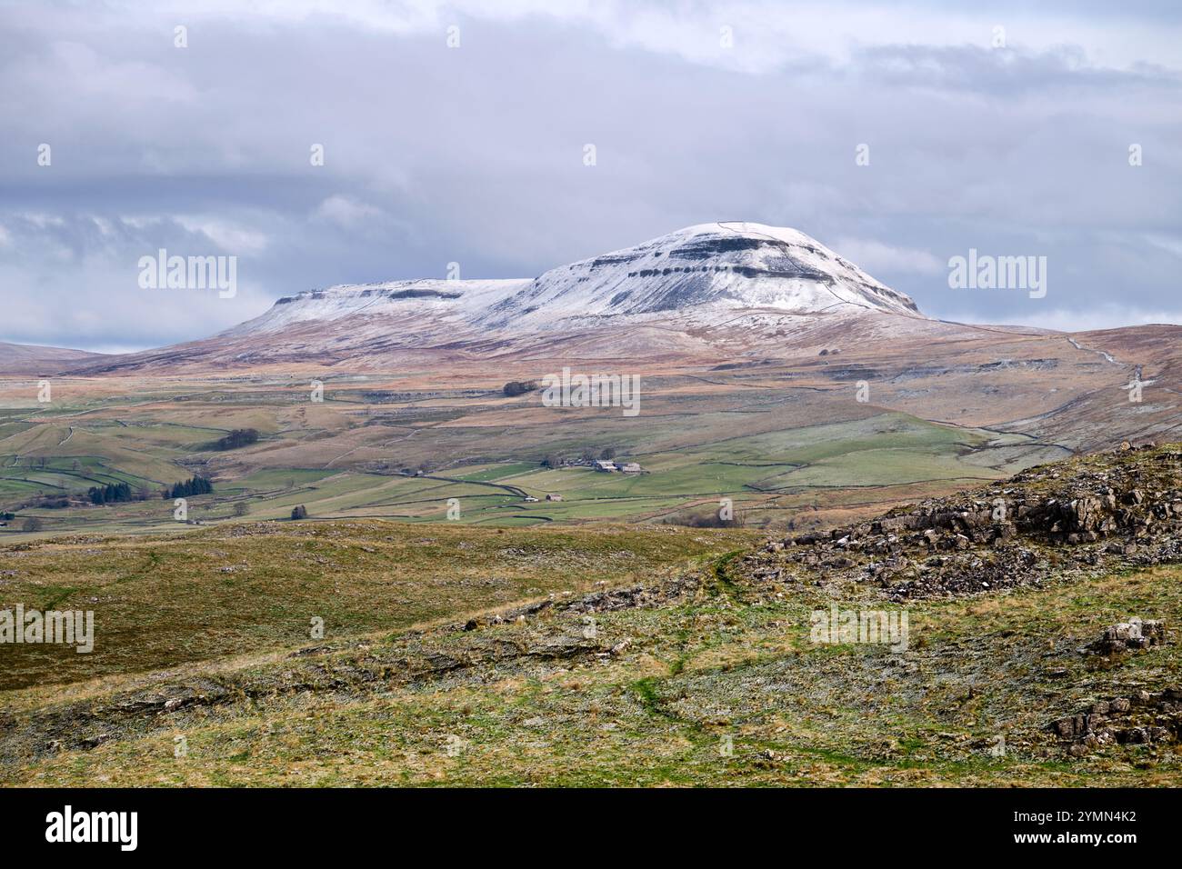 Ein schneebedeckter Pen-y-ghent, Ribblesdale, Yorkshire Dales National Park, Großbritannien. Stockfoto