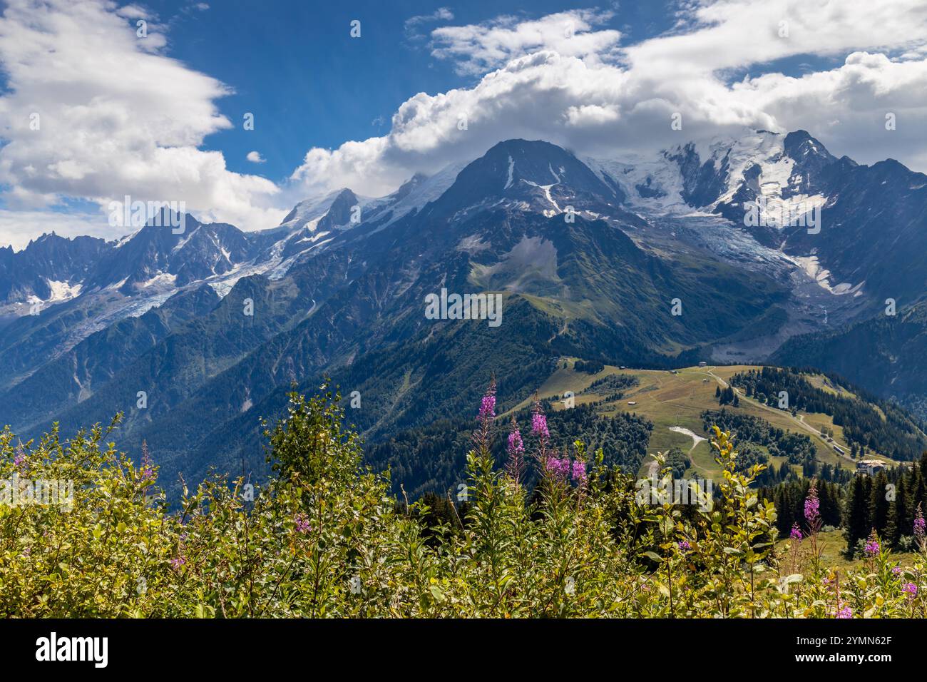 Tour du Mont Blanc wunderschöne Landschaften in den Alpen an einem sonnigen Sommertag. Grünes Gras auf der Almwiese umgeben von hohen Berggipfeln Stockfoto Tour du Mont Blanc wunderschöne Landschaften in den Alpen an einem sonnigen Sommertag. Grünes Gras auf der Almwiese umgeben von hohen Berggipfeln Stockfoto