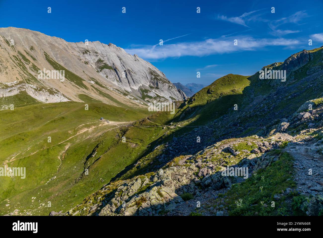 Tour du Mont Blanc wunderschöne Landschaften in den Alpen an einem sonnigen Sommertag. Grünes Gras auf der Almwiese umgeben von hohen Berggipfeln Stockfoto Tour du Mont Blanc wunderschöne Landschaften in den Alpen an einem sonnigen Sommertag. Grünes Gras auf der Almwiese umgeben von hohen Berggipfeln Stockfoto