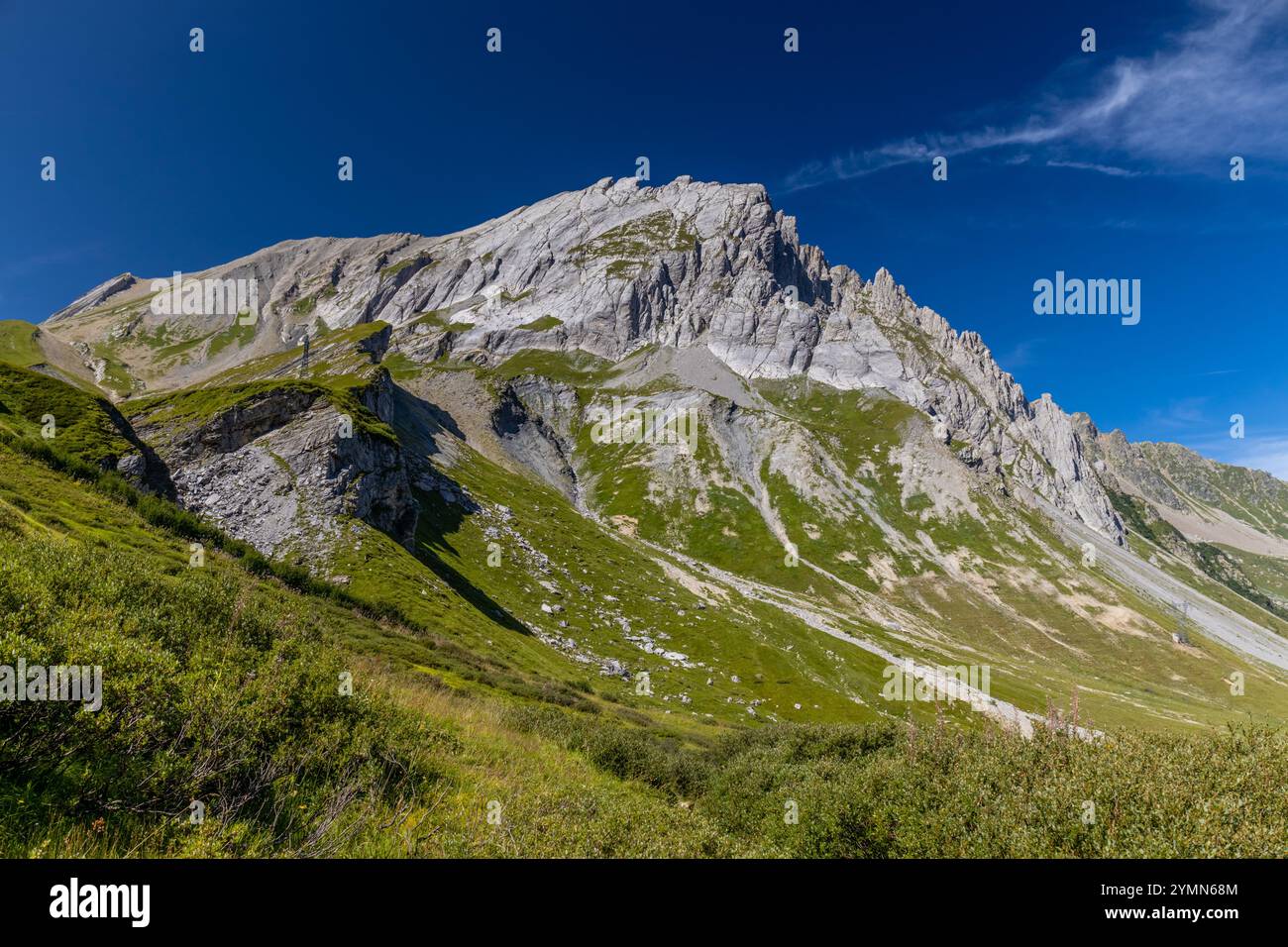 Tour du Mont Blanc wunderschöne Landschaften in den Alpen an einem sonnigen Sommertag. Grünes Gras auf der Almwiese umgeben von hohen Berggipfeln Stockfoto Tour du Mont Blanc wunderschöne Landschaften in den Alpen an einem sonnigen Sommertag. Grünes Gras auf der Almwiese umgeben von hohen Berggipfeln Stockfoto