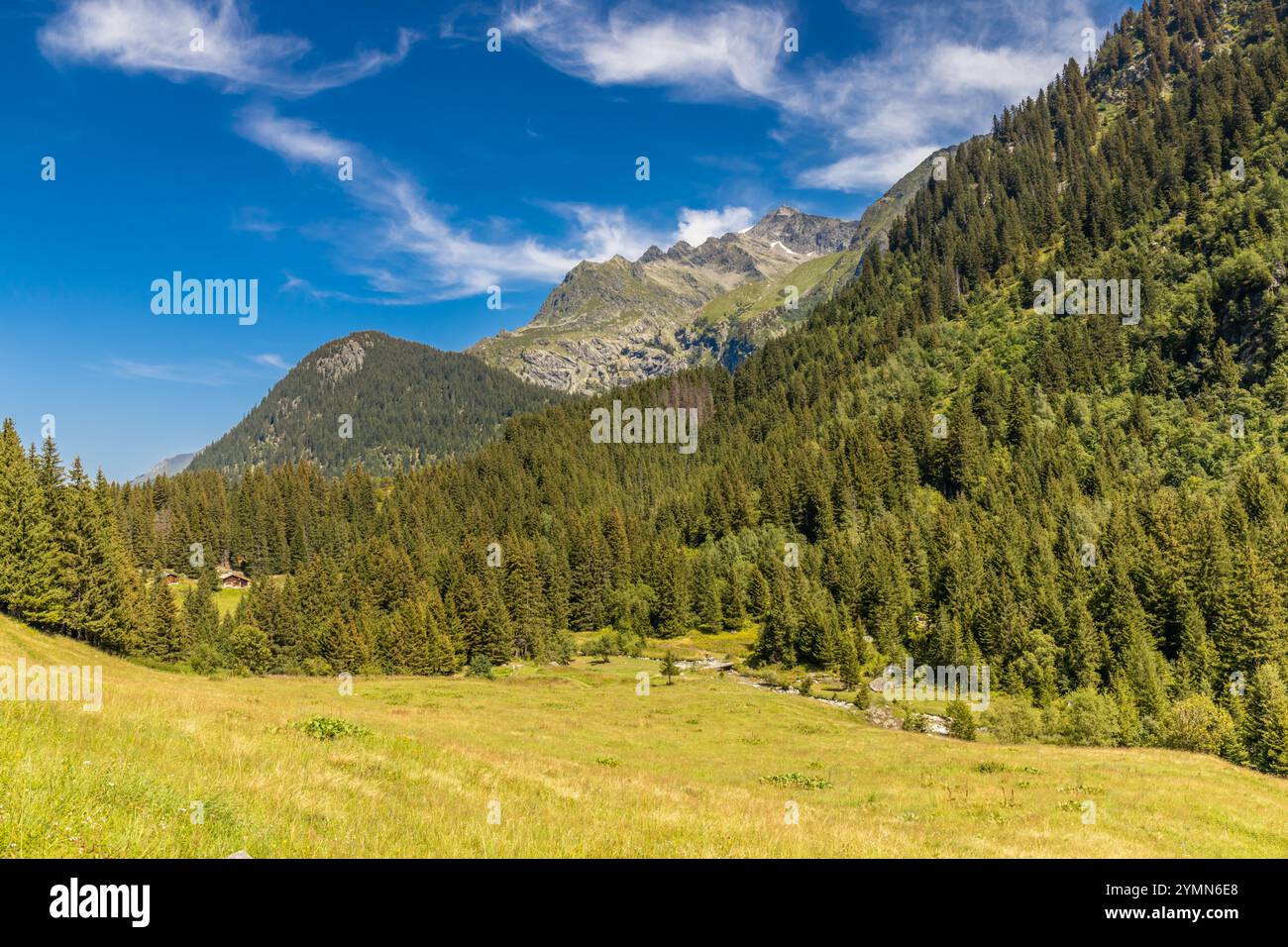 Tour du Mont Blanc wunderschöne Landschaften in den Alpen an einem sonnigen Sommertag. Grünes Gras auf der Almwiese umgeben von hohen Berggipfeln Stockfoto Tour du Mont Blanc wunderschöne Landschaften in den Alpen an einem sonnigen Sommertag. Grünes Gras auf der Almwiese umgeben von hohen Berggipfeln Stockfoto
