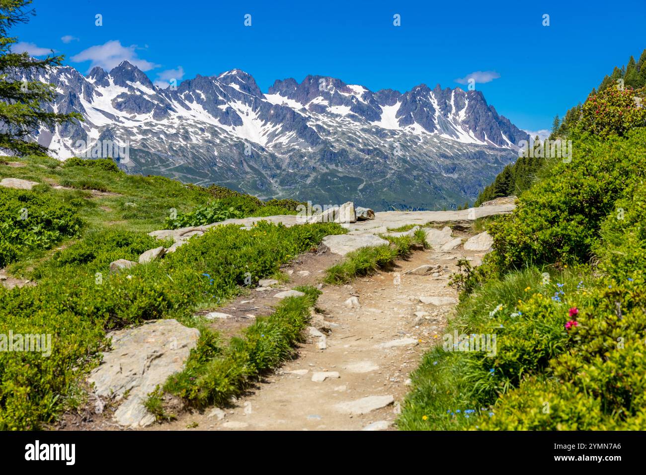 Tour du Mont Blanc wunderschöne Landschaften in den Alpen an einem sonnigen Sommertag. Grünes Gras auf der Almwiese umgeben von hohen Berggipfeln Stockfoto Tour du Mont Blanc wunderschöne Landschaften in den Alpen an einem sonnigen Sommertag. Grünes Gras auf der Almwiese umgeben von hohen Berggipfeln Stockfoto