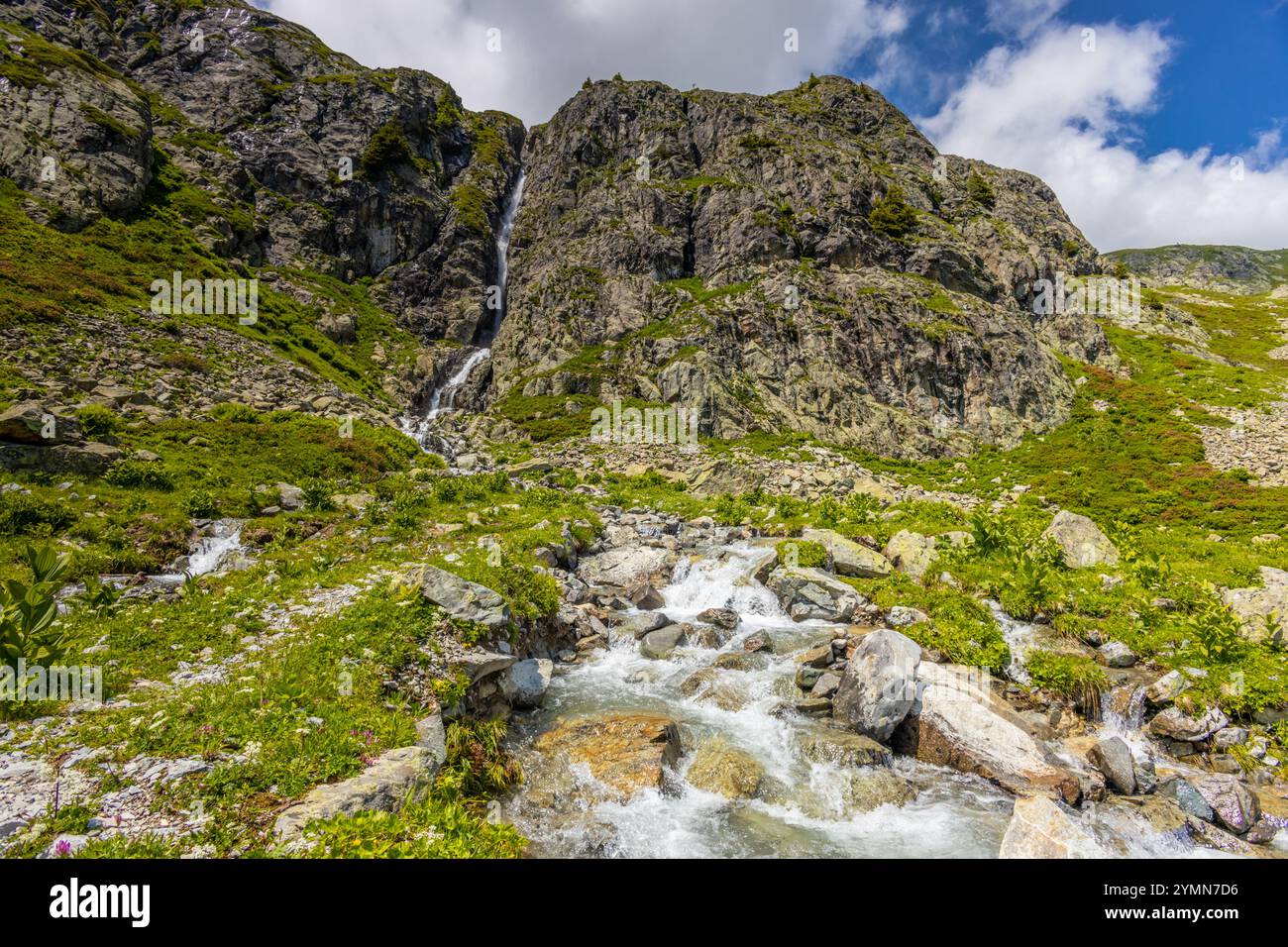 Tour du Mont Blanc wunderschöne Landschaften in den Alpen an einem sonnigen Sommertag. Grünes Gras auf der Almwiese umgeben von hohen Berggipfeln Stockfoto Tour du Mont Blanc wunderschöne Landschaften in den Alpen an einem sonnigen Sommertag. Grünes Gras auf der Almwiese umgeben von hohen Berggipfeln Stockfoto