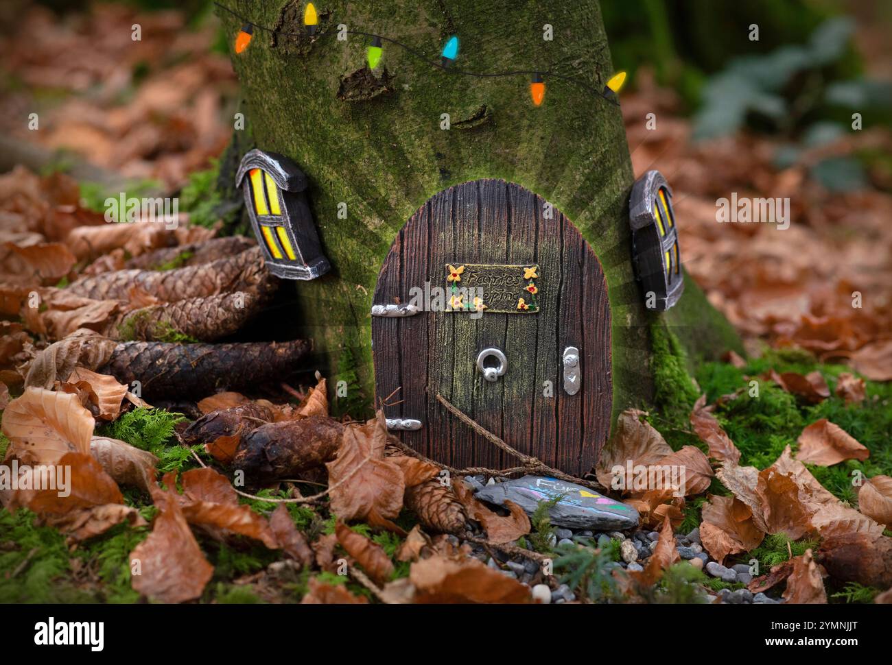 Eine bezaubernde Miniatur-Feentür mit kleinen Fenstern und bunten Lichtern, eingebettet am Fuß eines Baumes in einem Wald. An der Tür steht "Feen Willkommen" a Stockfoto