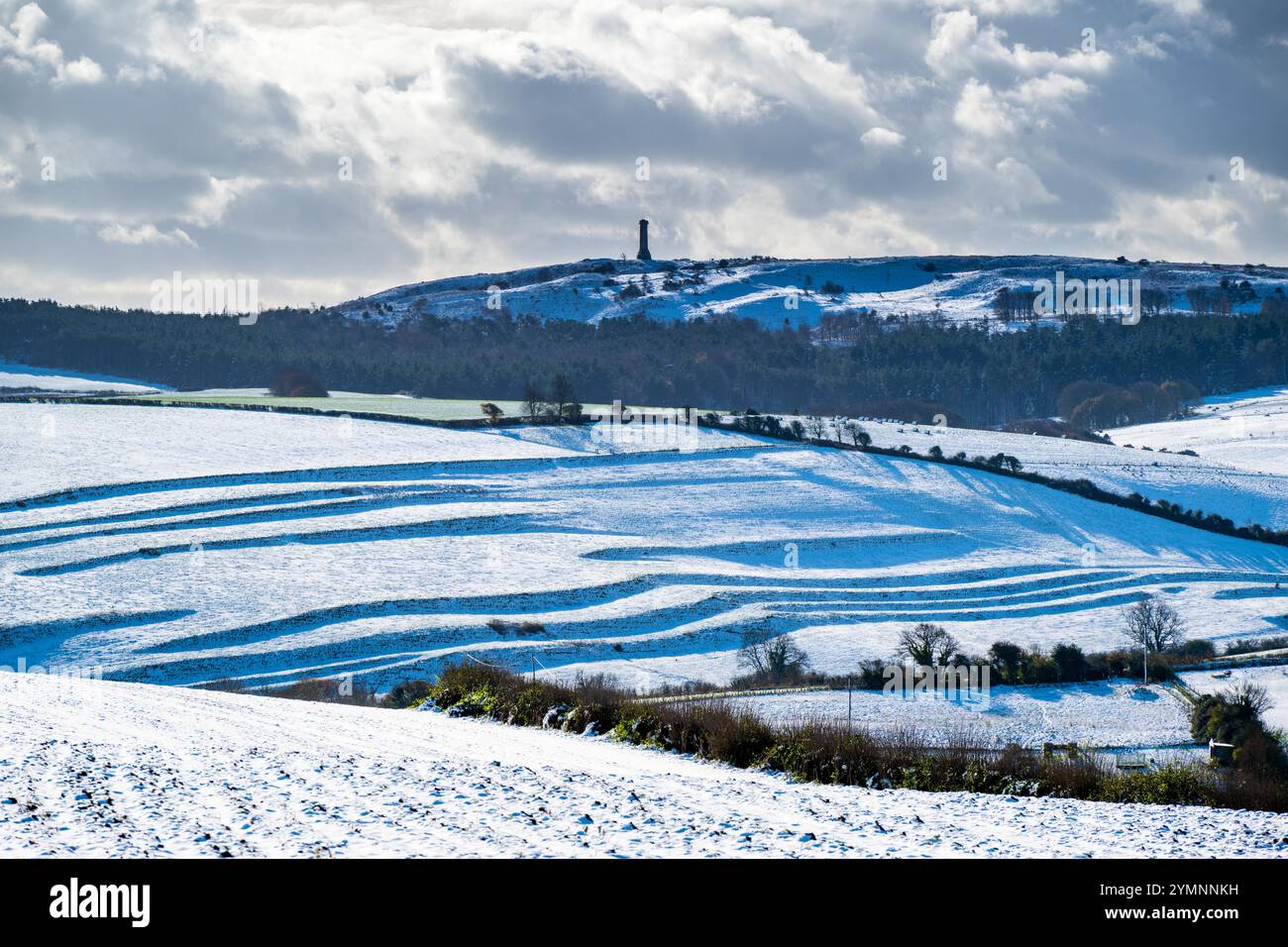 Winterbourne Abbas, Dorset, Großbritannien. November 2024. Wetter in Großbritannien. Blick über die schneebedeckten Felder von der Roman Road bei Winterbourne Abbas bis zum Hardy Monument an einem kalten, sonnigen Morgen. Das Denkmal wurde in Erinnerung an Vizeadmiral Sir Thomas Masterman Hardy errichtet, der Flaggenkapitän an Bord der HMS Victory in der Schlacht von Trafalgar war. Bildnachweis: Graham Hunt/Alamy Live News Stockfoto