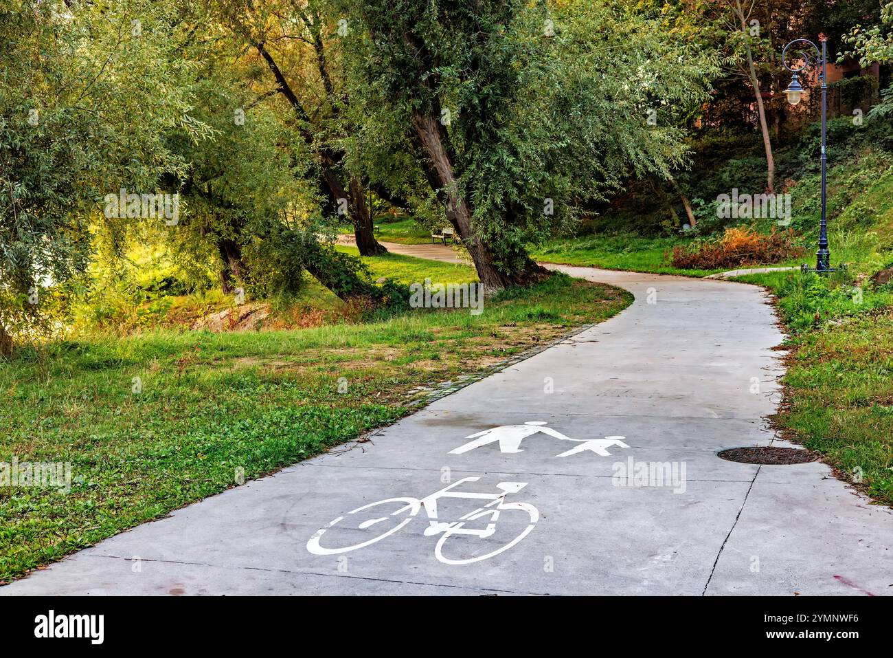 Fußgänger- und Radfahrermarkierungen im Park. Bäume mit grünem Laub. Stockfoto