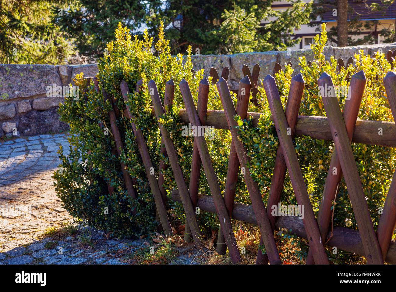Ein Zaun aus gekreuzten Holzpfählen mit grünen Büschen in einem Park. Stockfoto