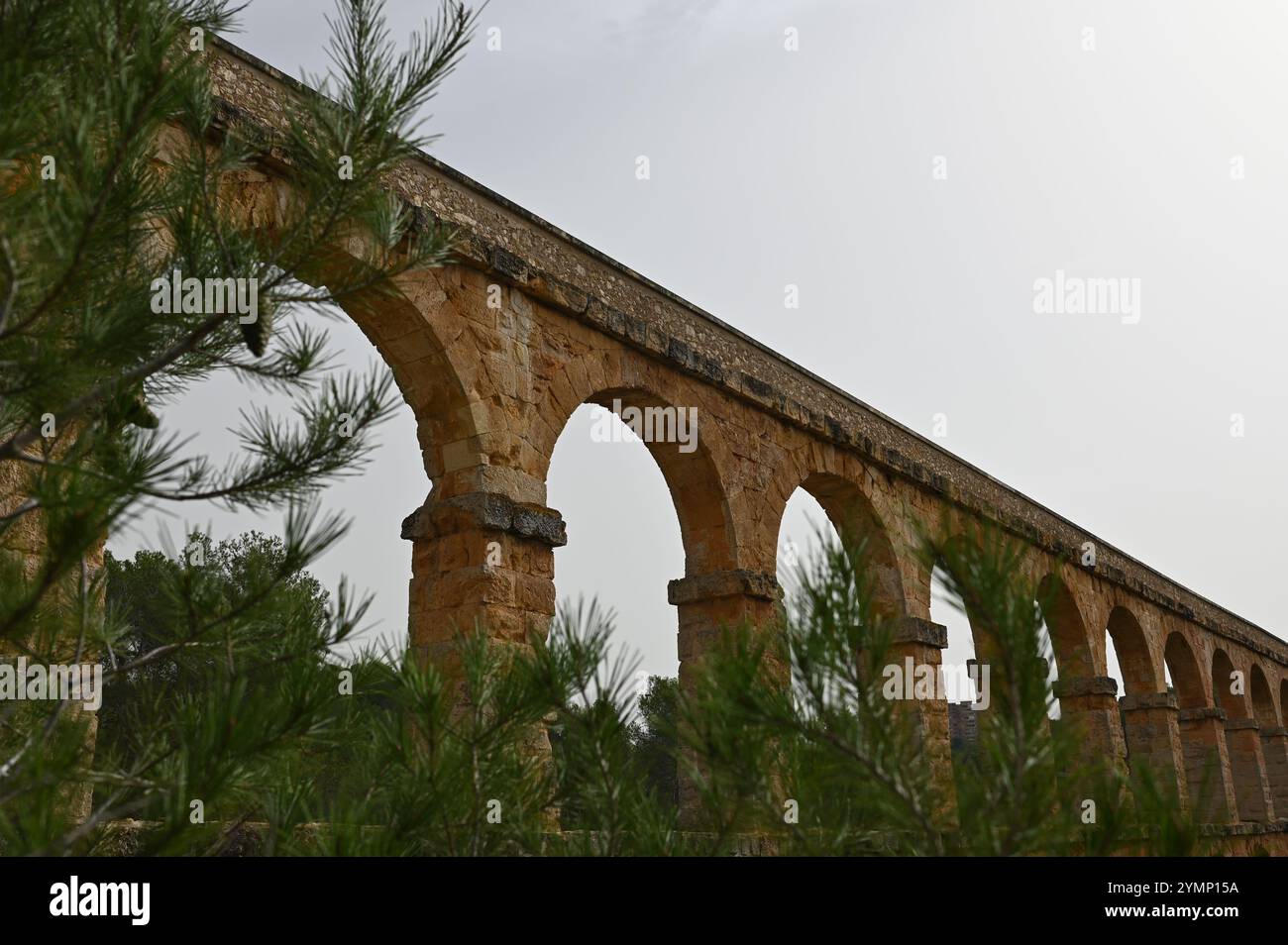 Das Ferreres Aquädukt in Spanien, umgeben von Kiefern unter grauem Himmel. Stockfoto