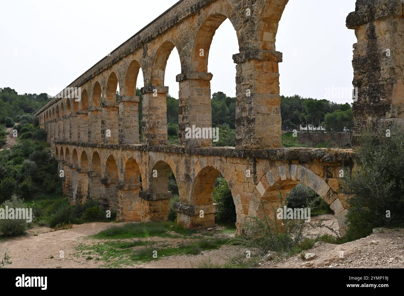 Das Ferreres Aquädukt in Spanien, umgeben von Kiefern unter grauem Himmel. Stockfoto