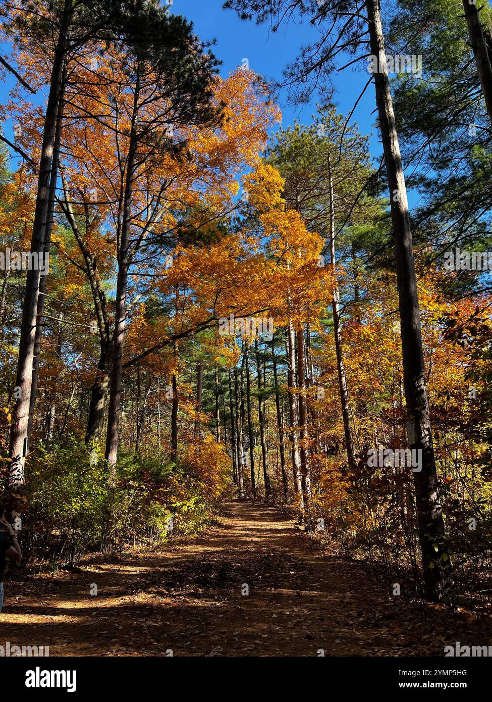 Herbst in Neuengland Stockfoto