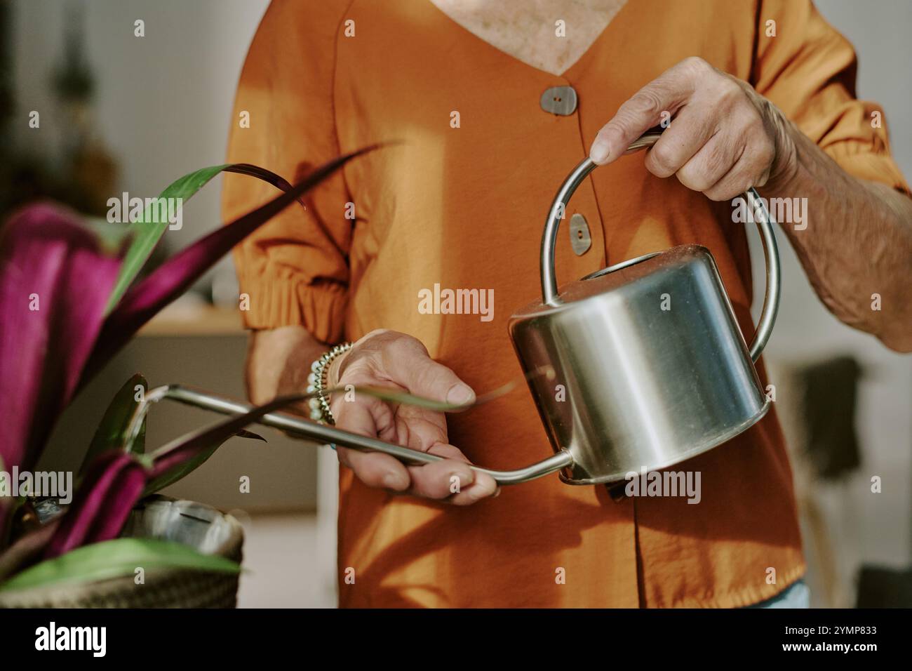 Nahaufnahme einer Person, die orangefarbene Oberseite trägt und Topfpflanze mit einer Gießkanne aus Edelstahl in Innenräumen bewässert, zeigt Details und Präzision Stockfoto